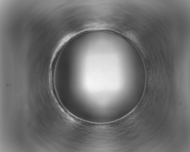 X0000061721472200512021326