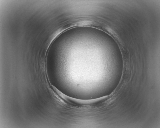 X0000061721473200512021326