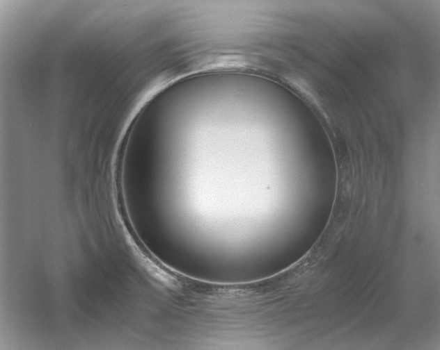 X0000061721475200512021326