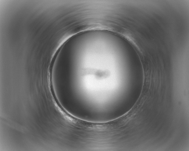 X0000061721476200512021326