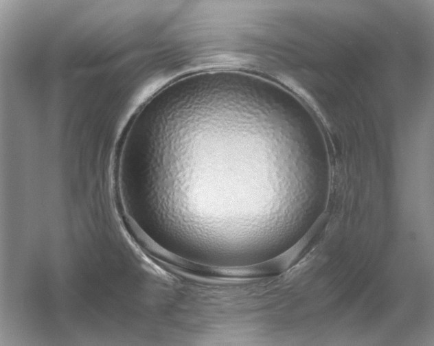 X0000061721477200512021326