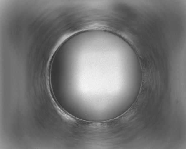 X0000061721478200512021325
