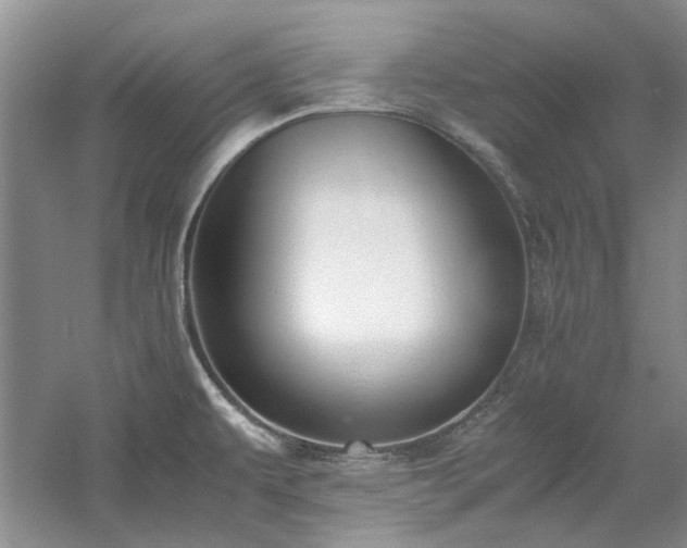 X0000061721479200512021325