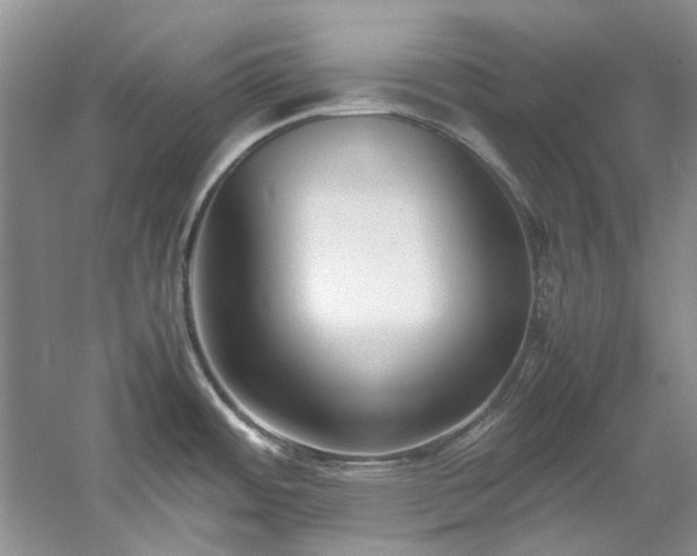 X0000061721484200512021325