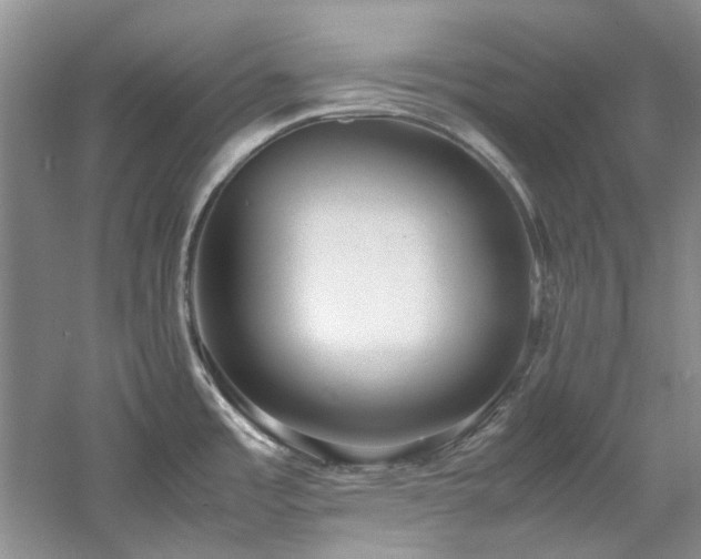 X0000061721485200512021325