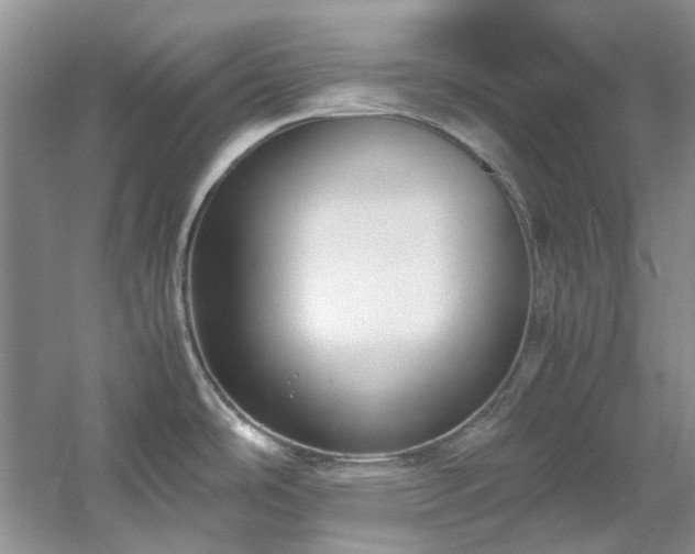 X0000061721486200512021325