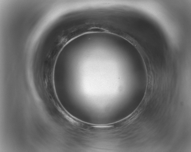 X0000061721487200512021325