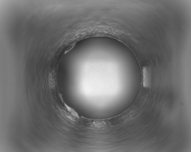 X0000061721491200512021324