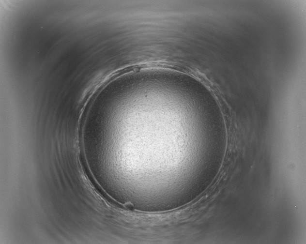 X0000061720002200512050919