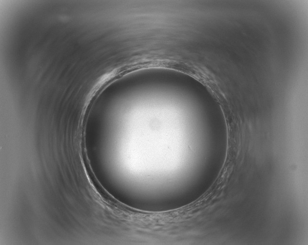 X0000061720003200512050919