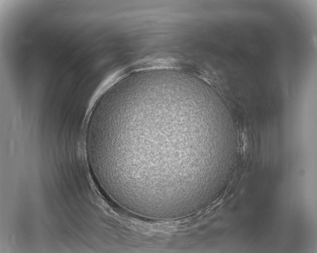 X0000061720004200512050919