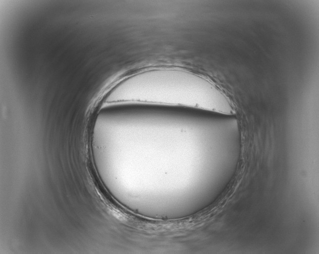 X0000061720005200512050919