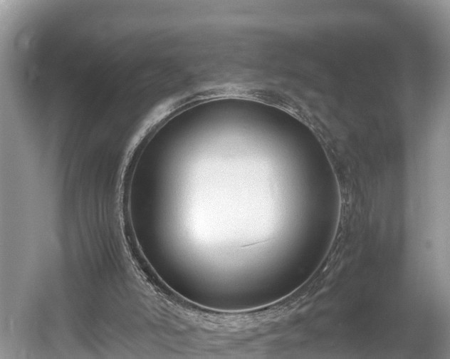 X0000061720006200512050919