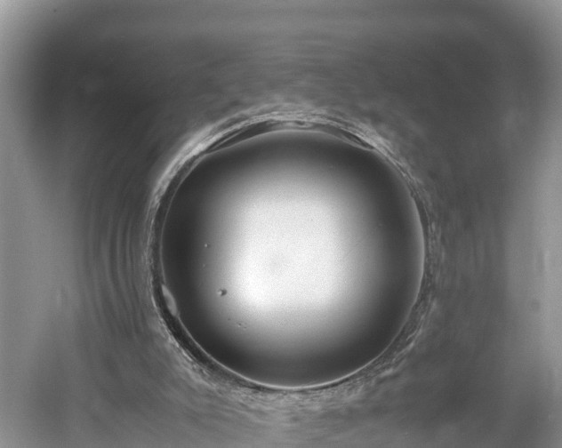 X0000061720007200512050919