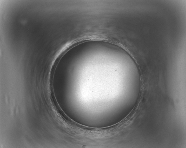 X0000061720008200512050919