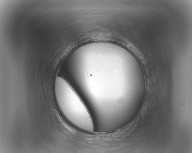 X0000061720009200512050919