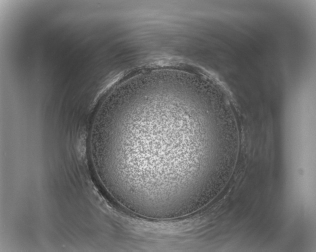 X0000061720010200512050919