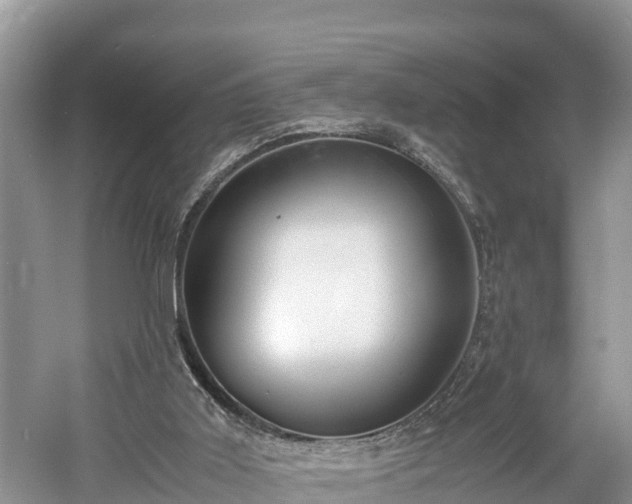 X0000061720011200512050919