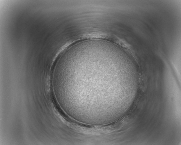 X0000061720012200512050919