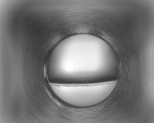 X0000061720013200512050919