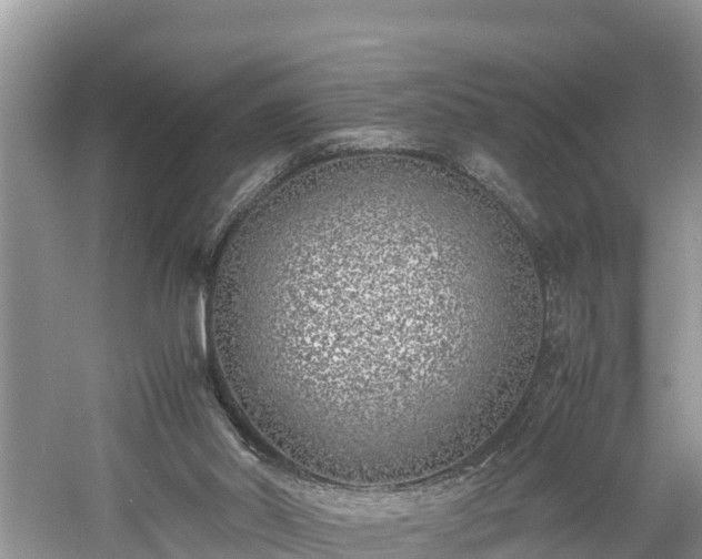 X0000061720014200512050919