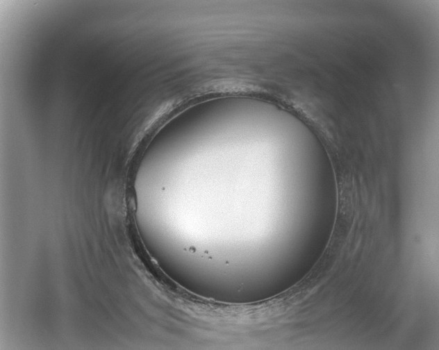 X0000061720015200512050919