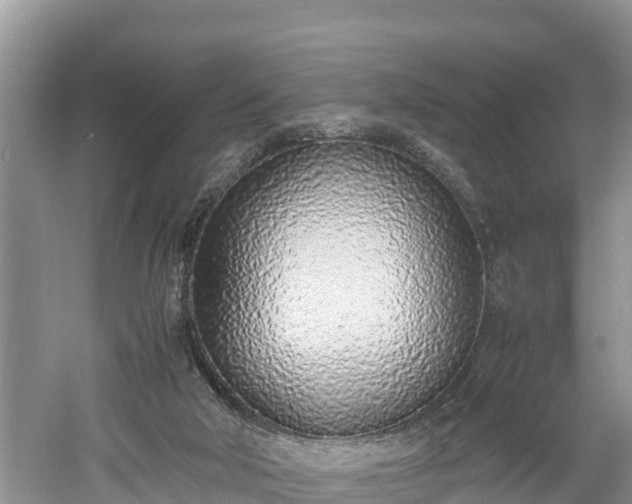 X0000061720018200512050919