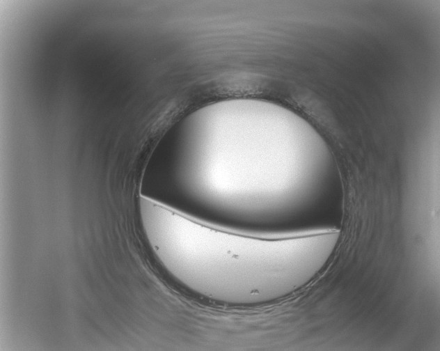 X0000061720021200512050919