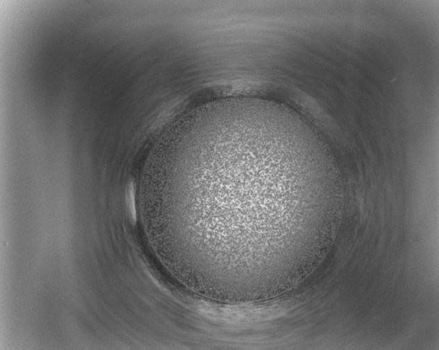 X0000061720022200512050919