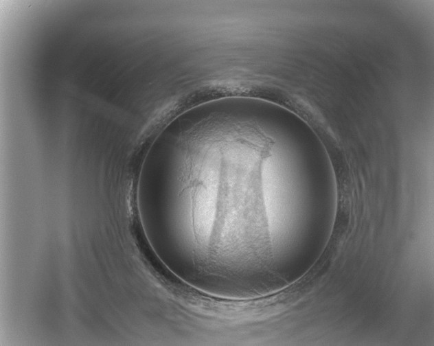 X0000061720023200512050919