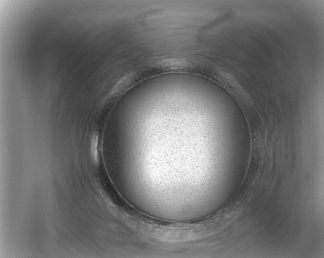 X0000061720024200512050919