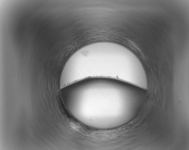 X0000061720025200512050919