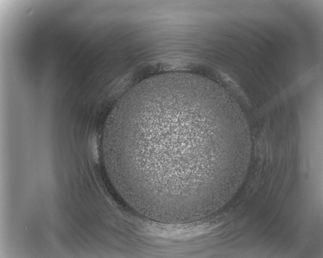 X0000061720026200512050919