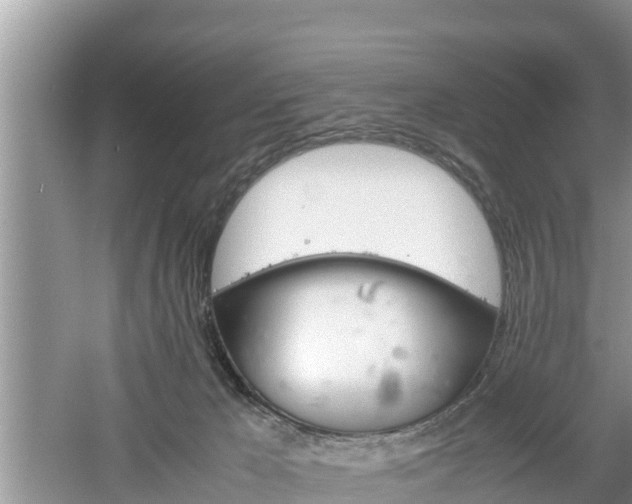 X0000061720029200512050919