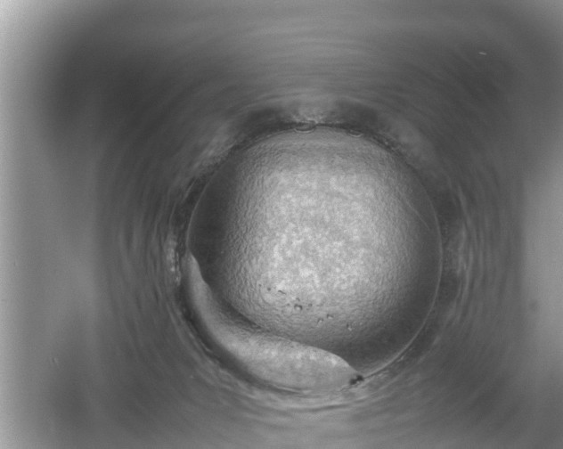 X0000061720031200512050918