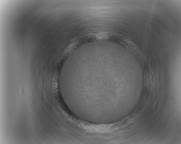 X0000061720032200512050918