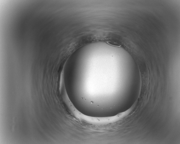 X0000061720033200512050918