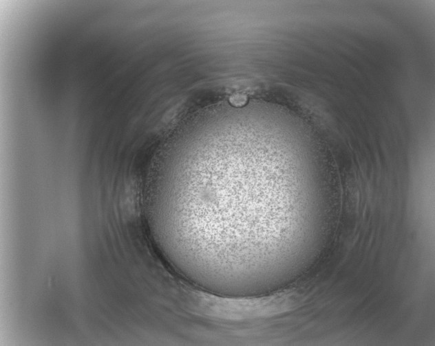 X0000061720034200512050918