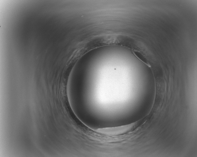 X0000061720035200512050918