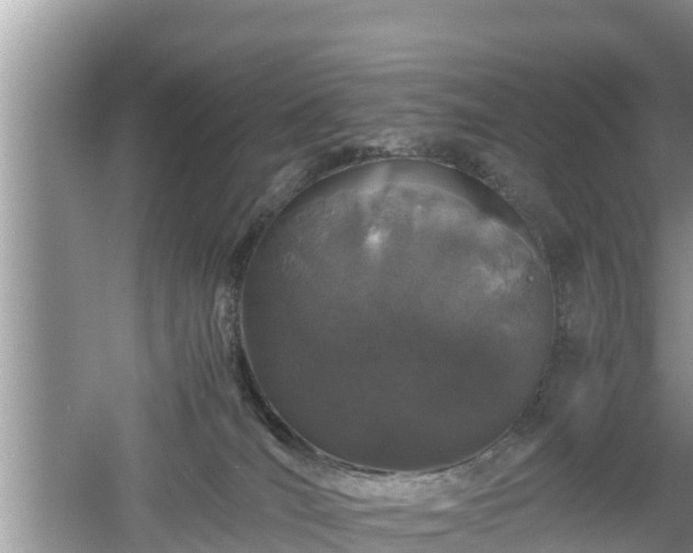 X0000061720036200512050918