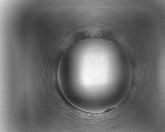 X0000061720039200512050918