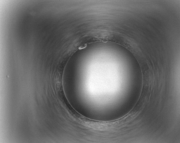 X0000061720040200512050918