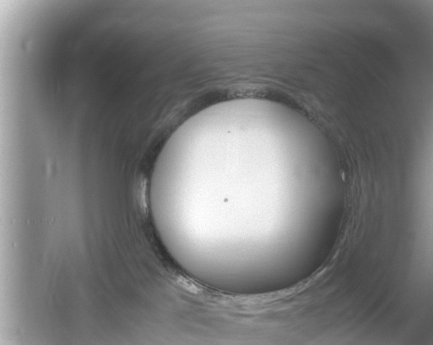 X0000061720041200512050918