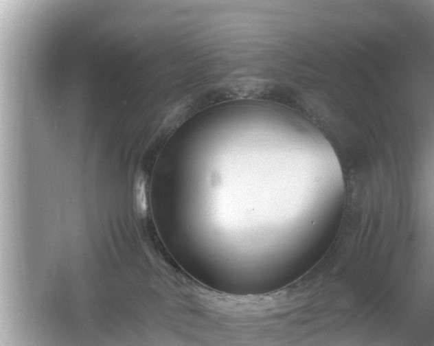 X0000061720042200512050918