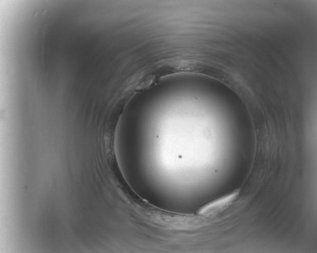 X0000061720044200512050918