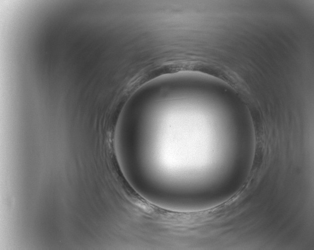 X0000061720045200512050918