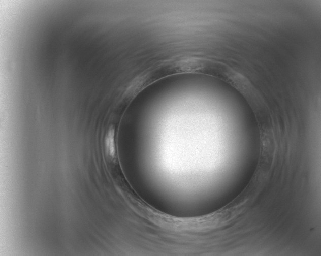 X0000061720046200512050918