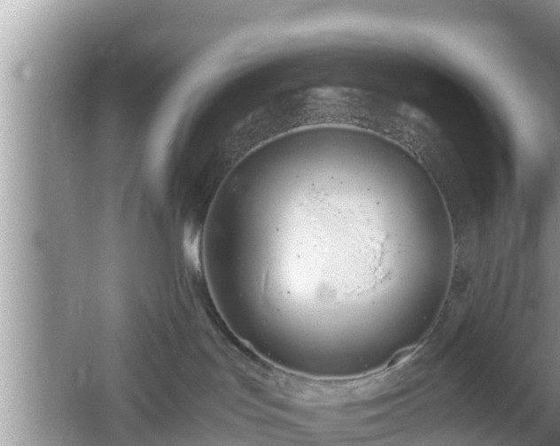 X0000061720047200512050918