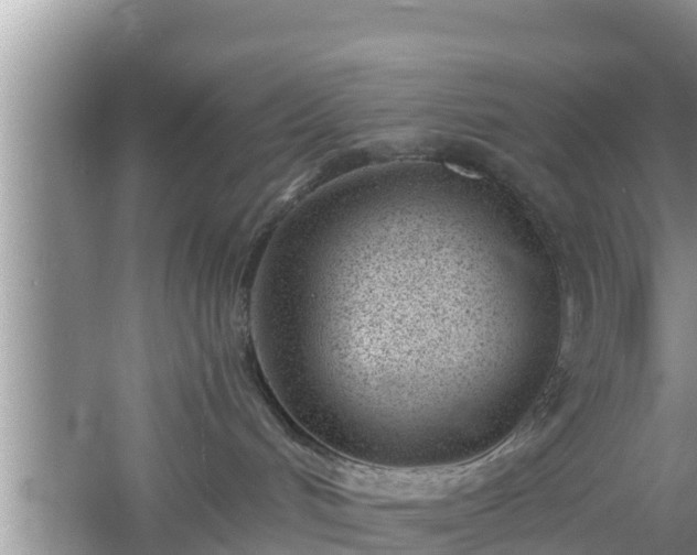 X0000061720048200512050918