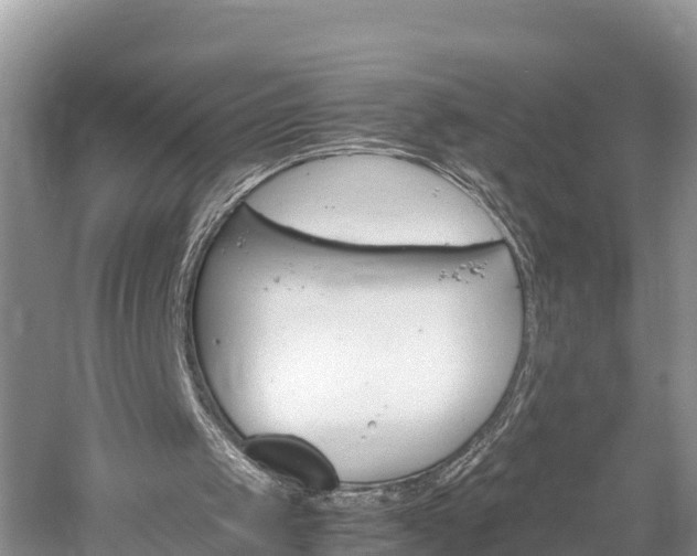 X0000061720049200512050917